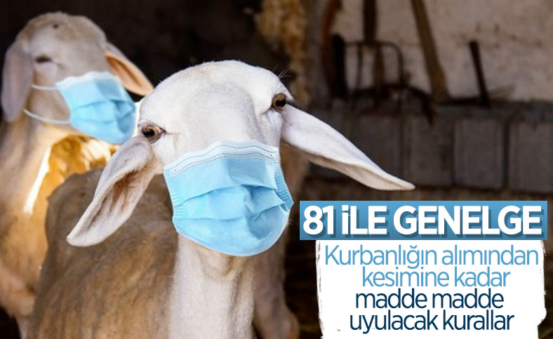 Kurban satış ve kesim yerlerinde alınacak tedbirler açıklandı
