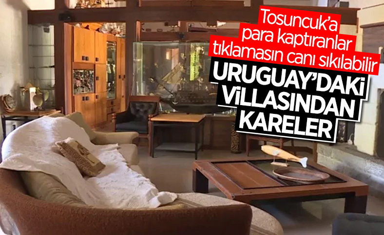 'Tosuncuk' lakaplı Mehmet Aydın'ın malikanesinin fotoğrafları