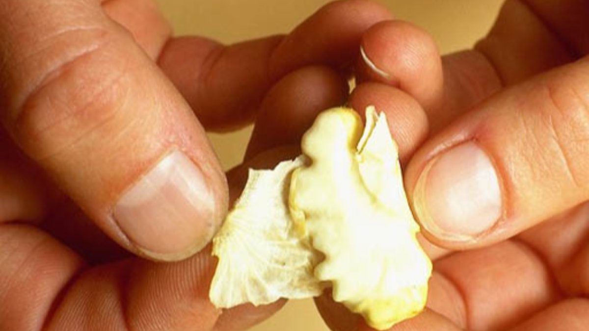 Healing is hidden inside The benefits of walnut membrane Kimdeyir