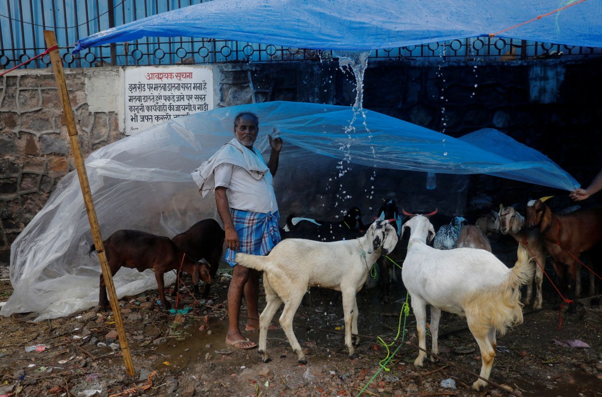 Sacrifice is prohibited in India #2