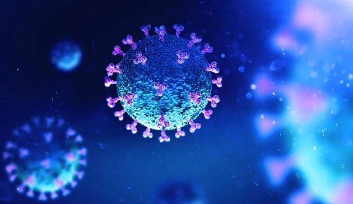 Differences between coronavirus variants #5