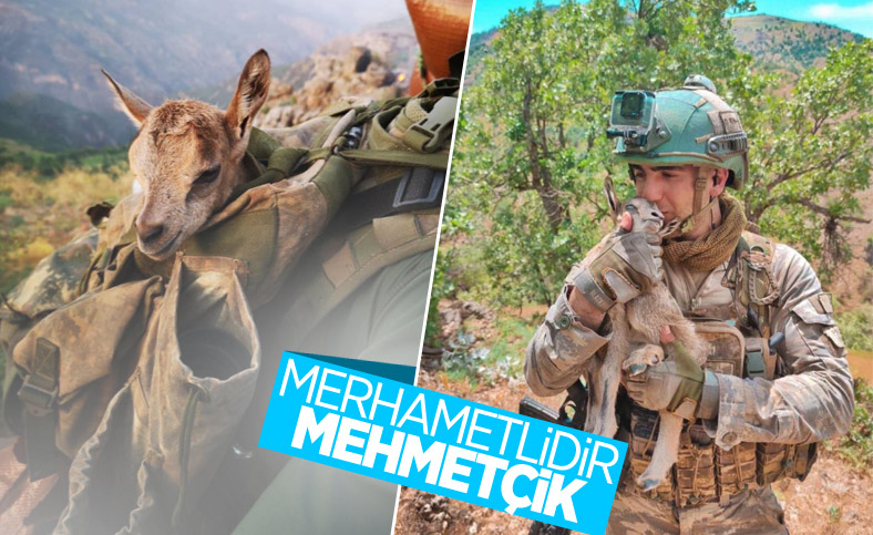 Mehmetçik, görev yaptığı bölgedeki hayvanları unutmadı