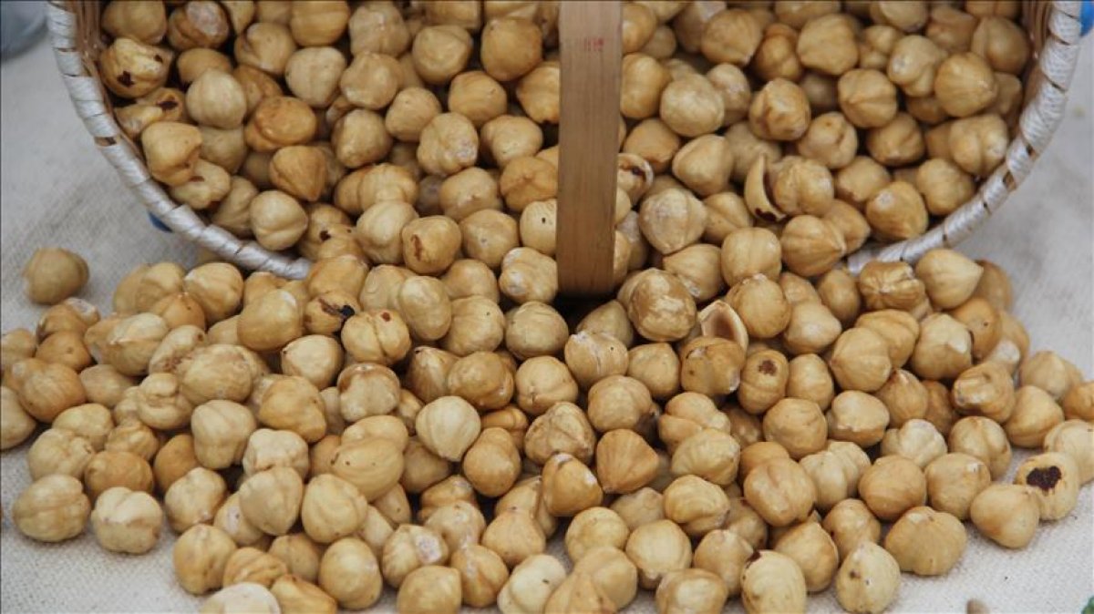 Fındıkta üreticinin taban fiyat beklentisi en az 30 lira #4