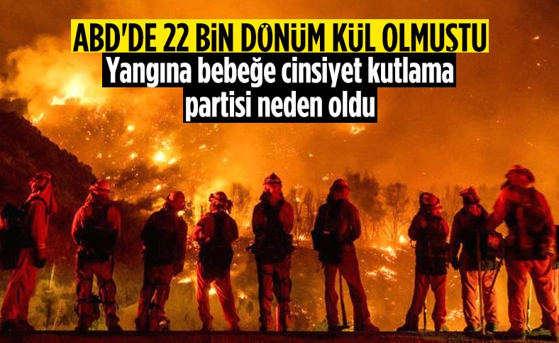 ABD'de cinsiyet partisi faciaya sebep oldu