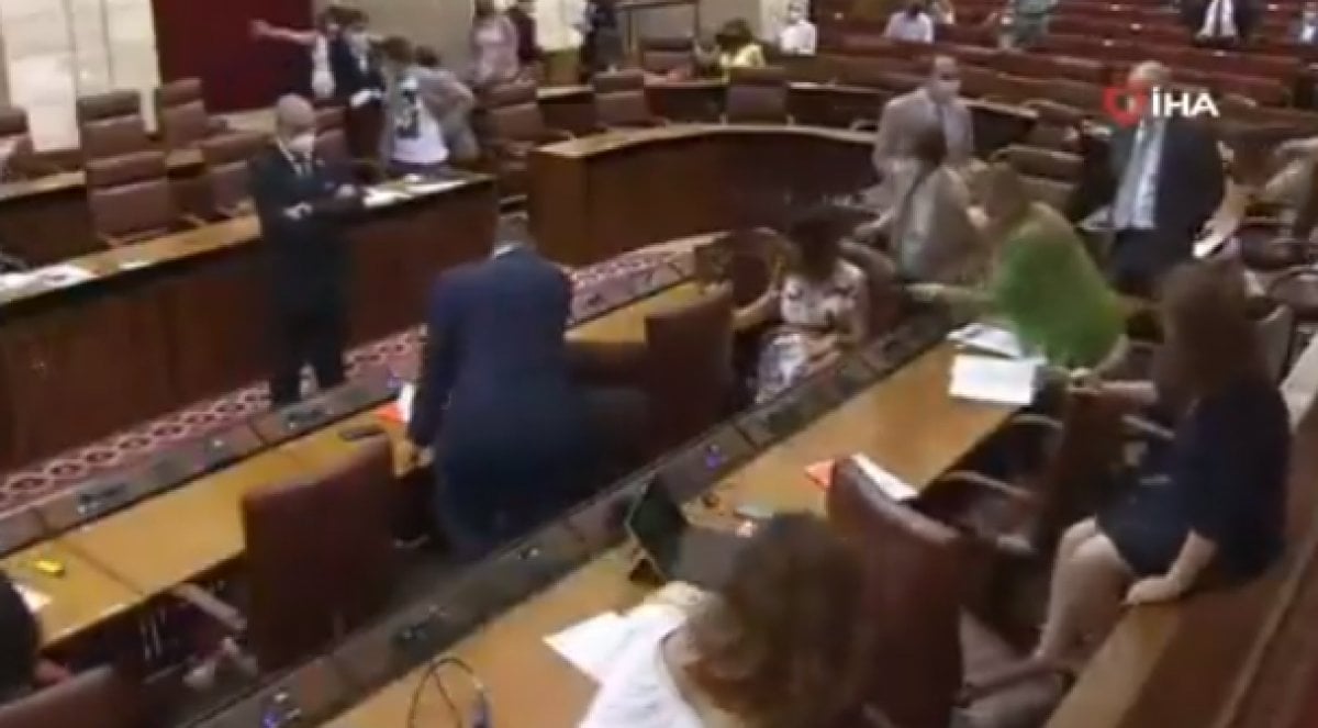 Mouse entered the Andalusian Parliament, the meeting was interrupted #3