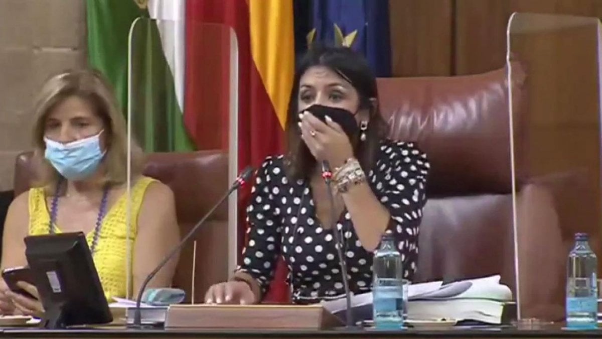 Mouse entered the Andalusian Parliament, the meeting was interrupted #1