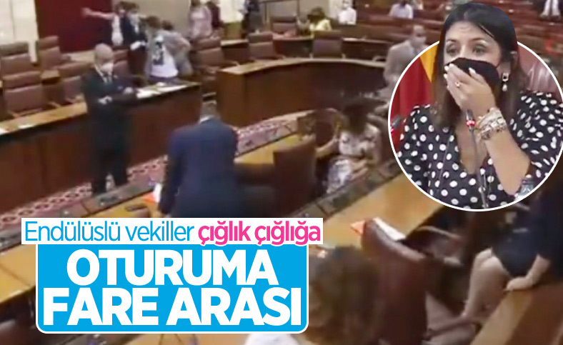 Endülüs Parlamentosu'na fare girdi, toplantı yarıda kesildi