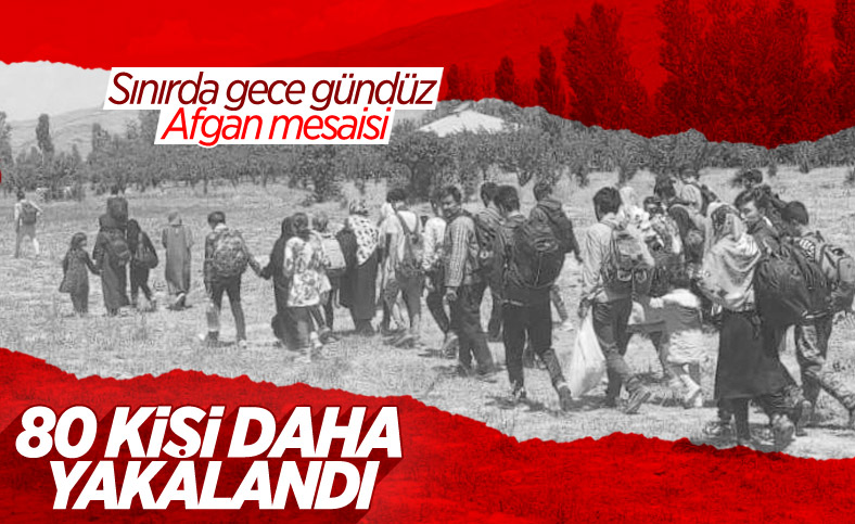 Van'da 80 Afganistan uyruklu yakalandı