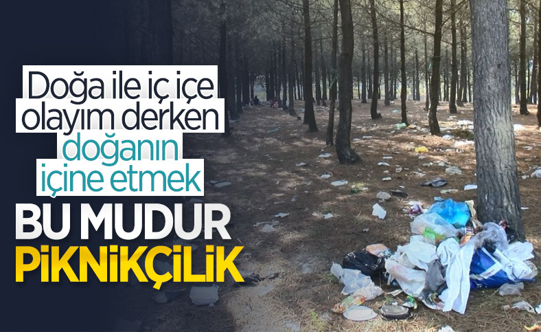 Sarıyer'de piknikçilerin ormana attığı çöpler tepki çekti