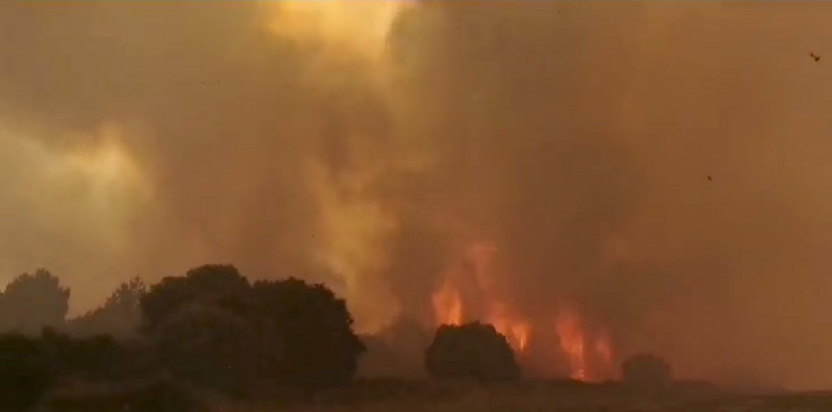 Fire on Sardinia Island: more than 1500 people evacuated #5