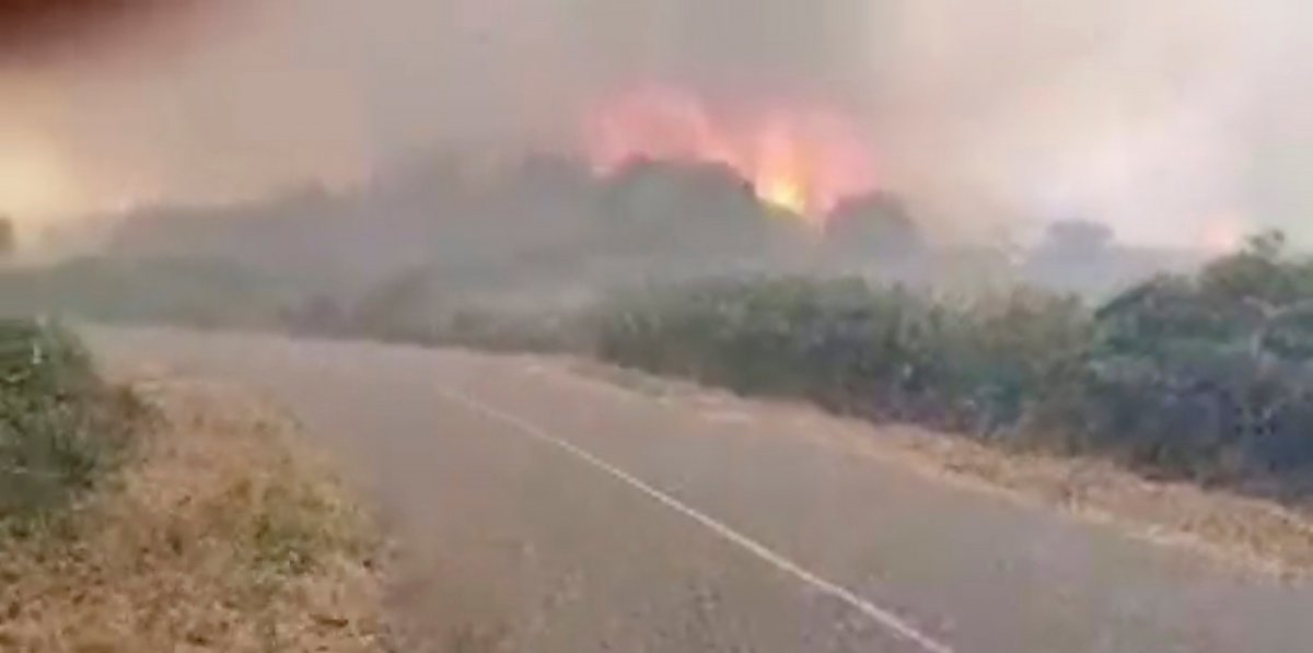 Fire on Sardinia Island: more than 1500 people evacuated #6