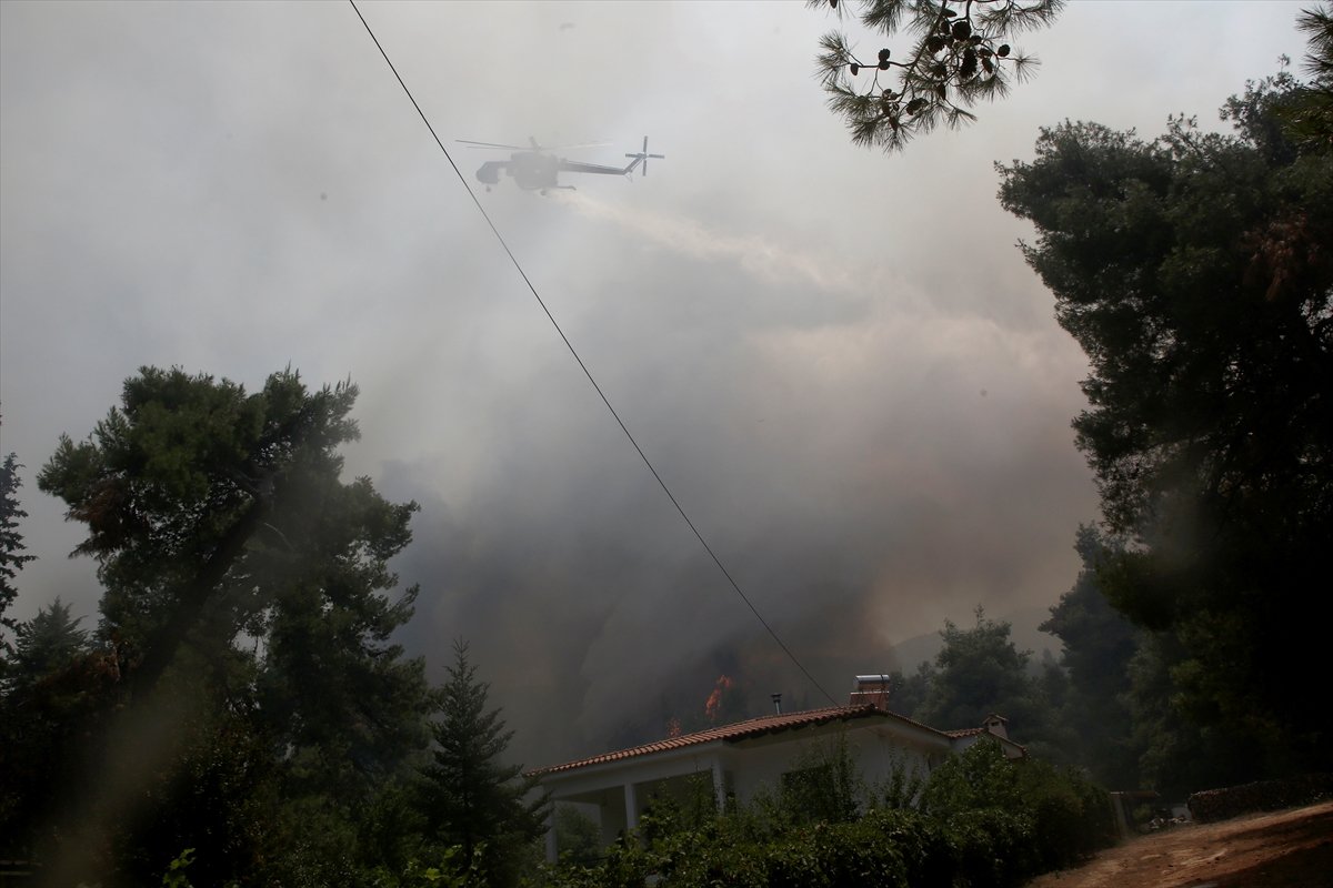 Yunanistan da orman yangını #2