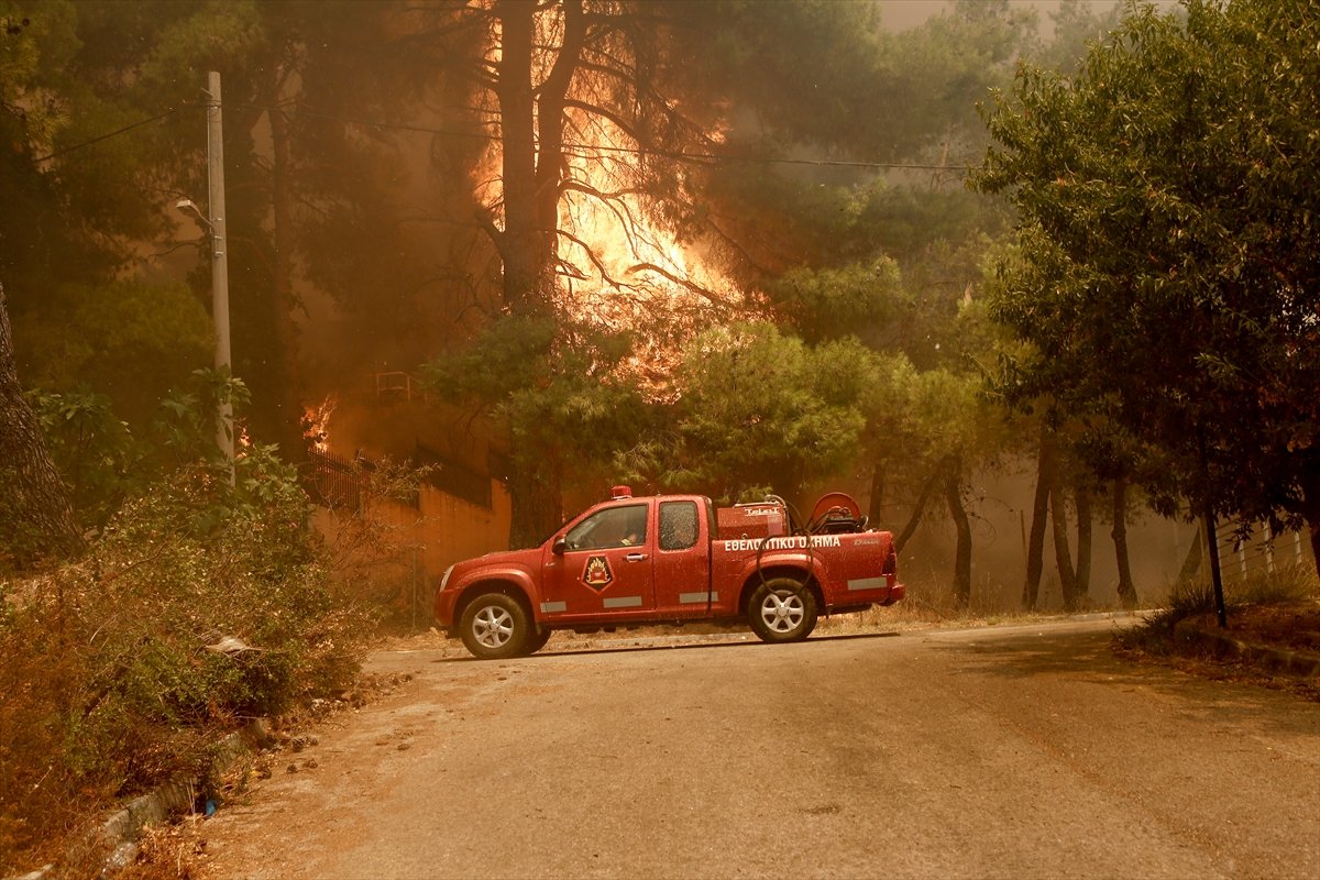 Yunanistan da orman yangını #5