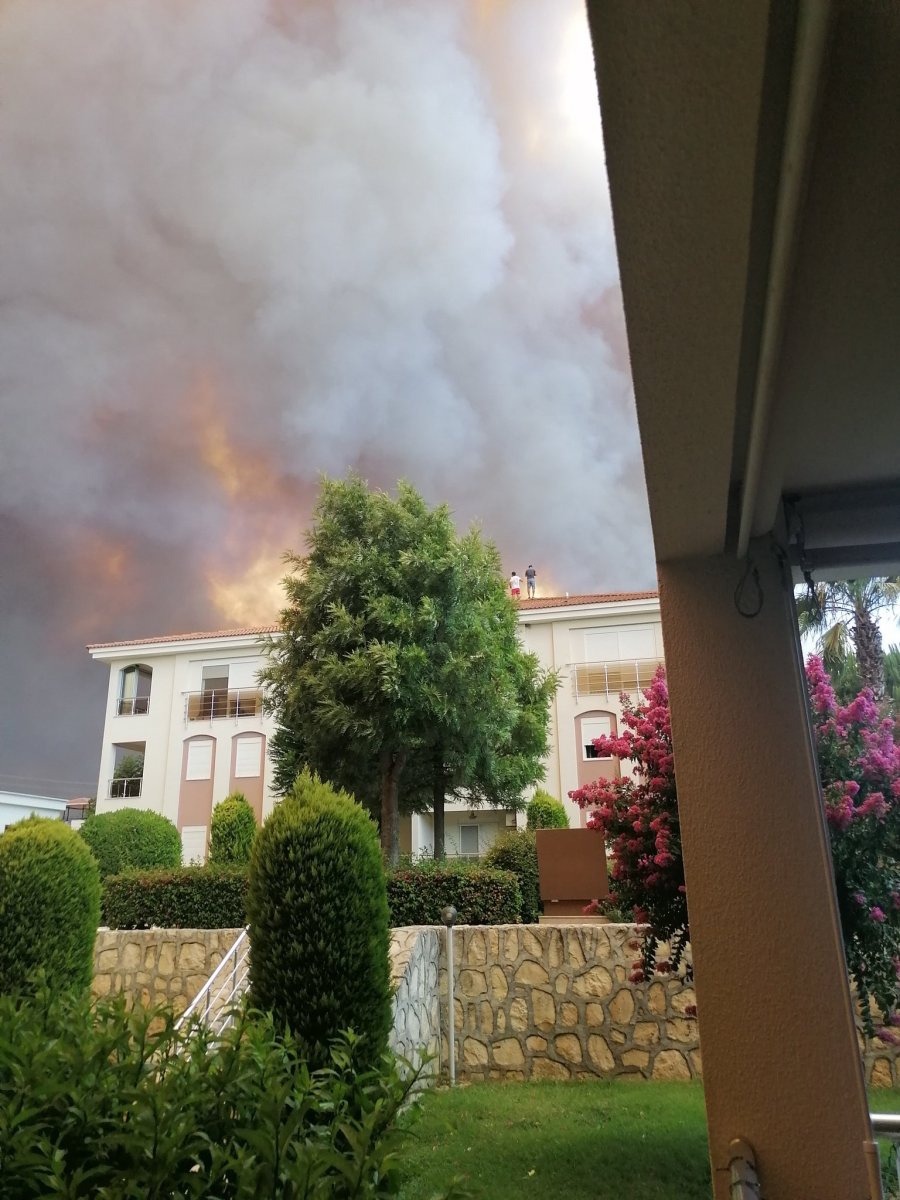 Manavgat ta orman yangını çıktı #4