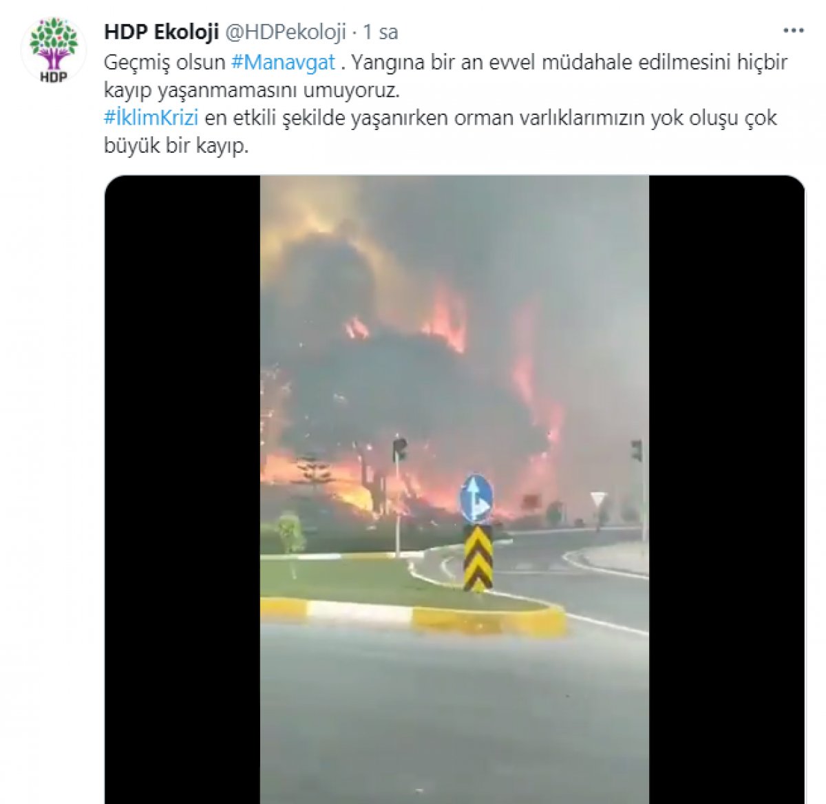 Bakan Bekir Pakdemirli, Manavgat yangınıyla ilgili PKK yı işaret etti #2