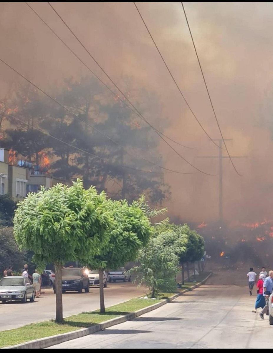 Manavgat ta orman yangını çıktı #9