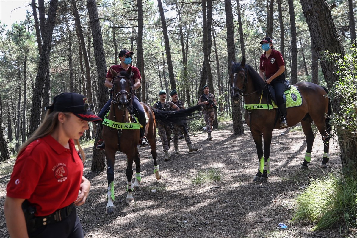 İstanbul polisinden, orman yangınlarına karşı helikopter destekli güvenlik önlemi #6