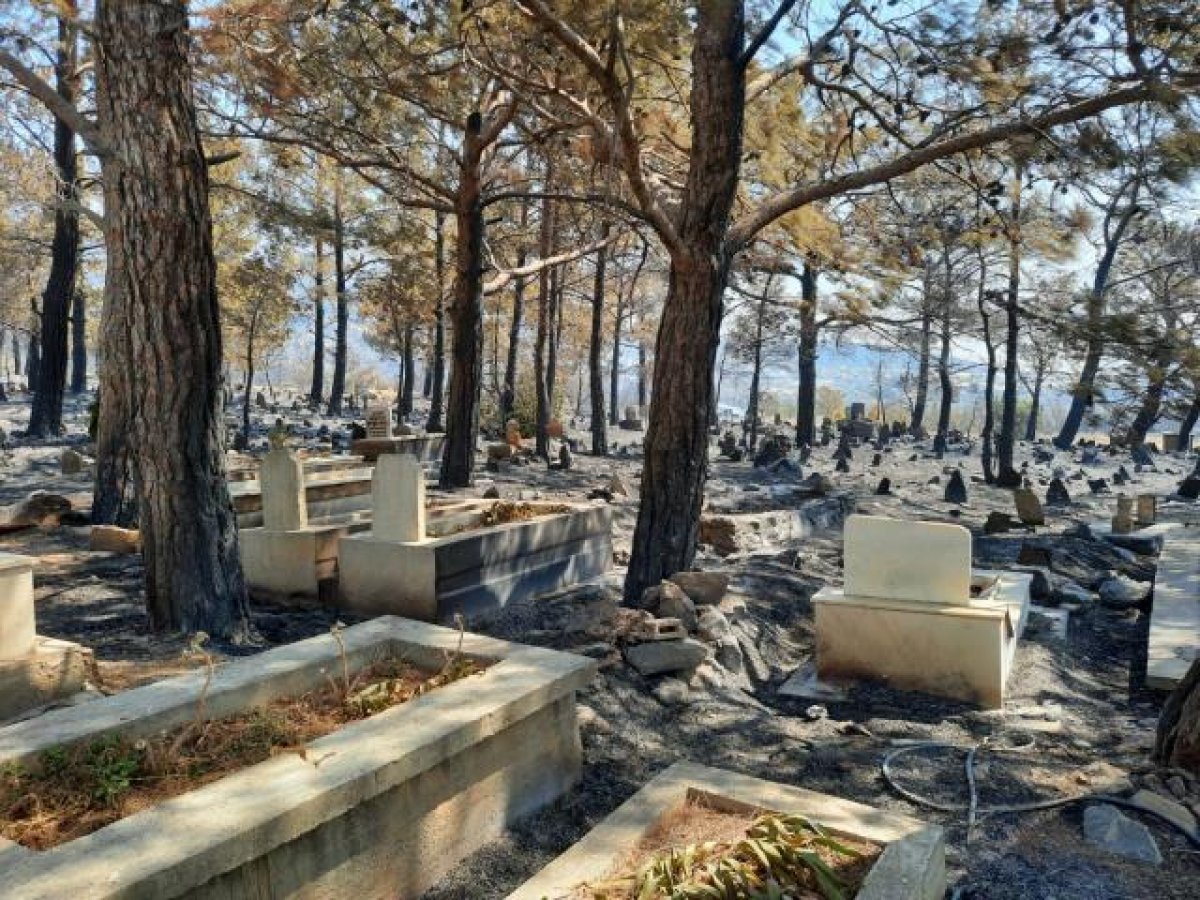 Mersin deki yangında zarar gören mezarlıkta şehit kabri ve Türk bayrağı yanmadı #3