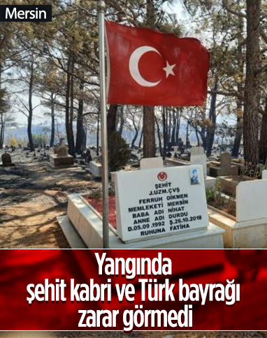 Mersin'deki yangında zarar gören mezarlıkta şehit kabri ve Türk bayrağı yanmadı