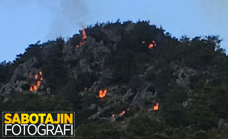 Marmaris'teki yangında sabotaj iddialarını güçlendiren fotoğraf