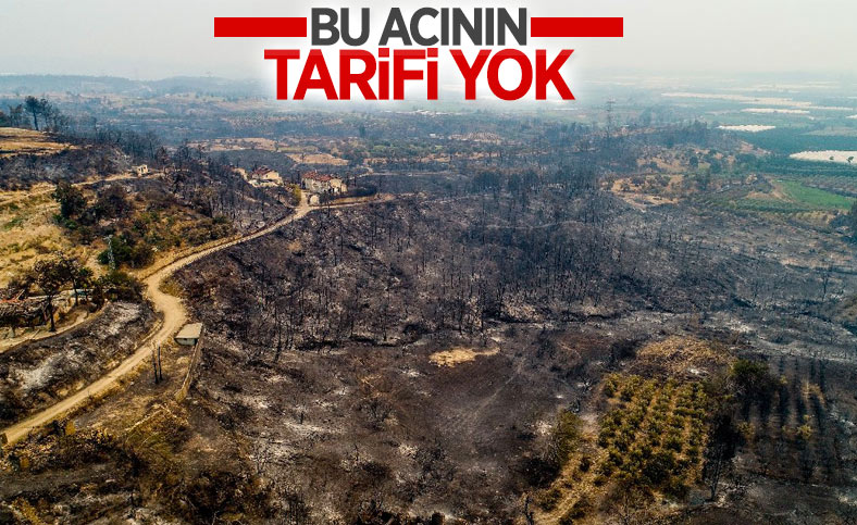 Antalya ve Adana'dan alevlerin ardından yürek yakan manzaralar