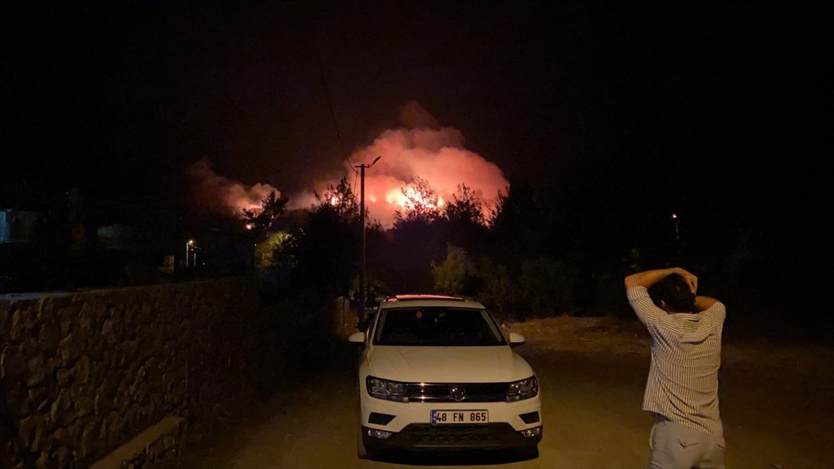 Fethiye de orman yangını başladı #3