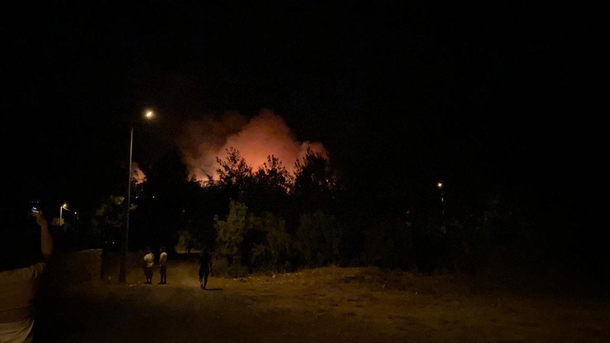 Fethiye de orman yangını başladı #4