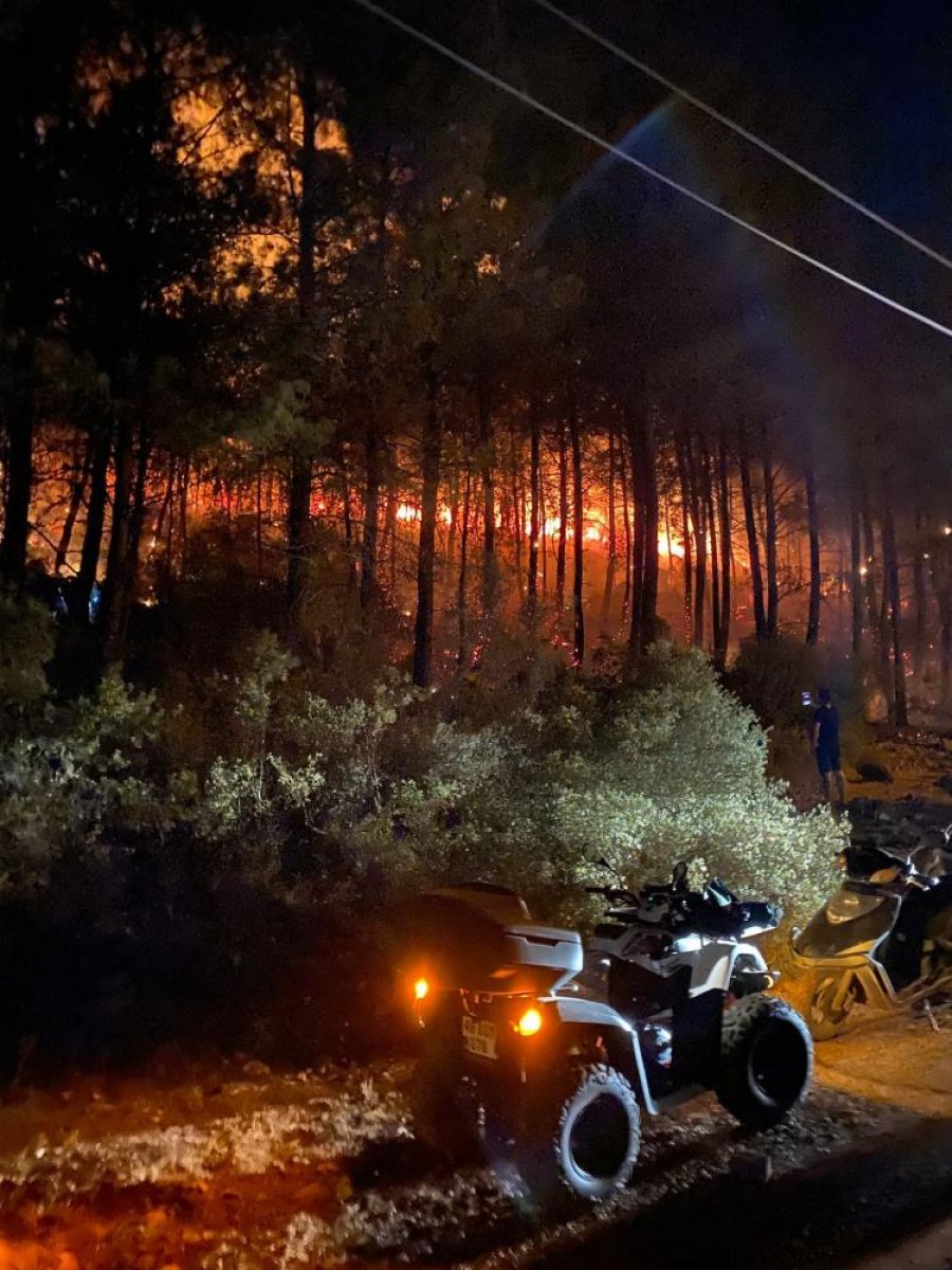 Fethiye de orman yangını başladı #6