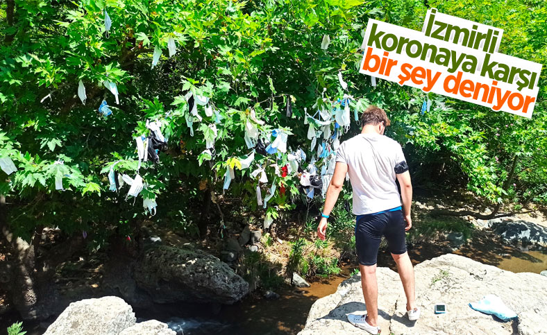 İzmir'de, vatandaşların çaput bağladığı dilek ağacına maske asılmaya başlandı