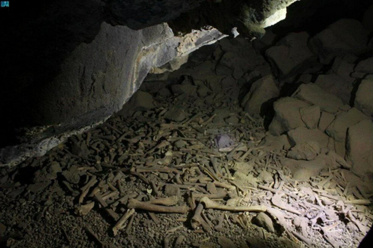 Human skulls found in 7,000-year-old cave in Saudi Arabia #2