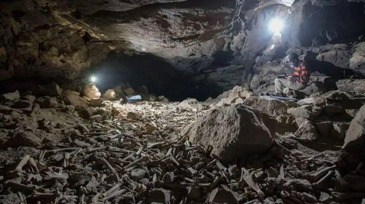 Human skulls found in 7,000-year-old cave in Saudi Arabia #1