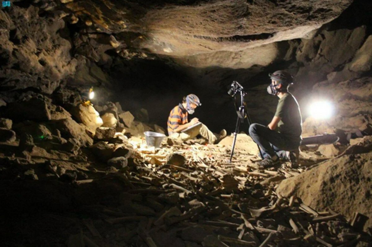 Human skulls found in 7,000-year-old cave in Saudi Arabia #3