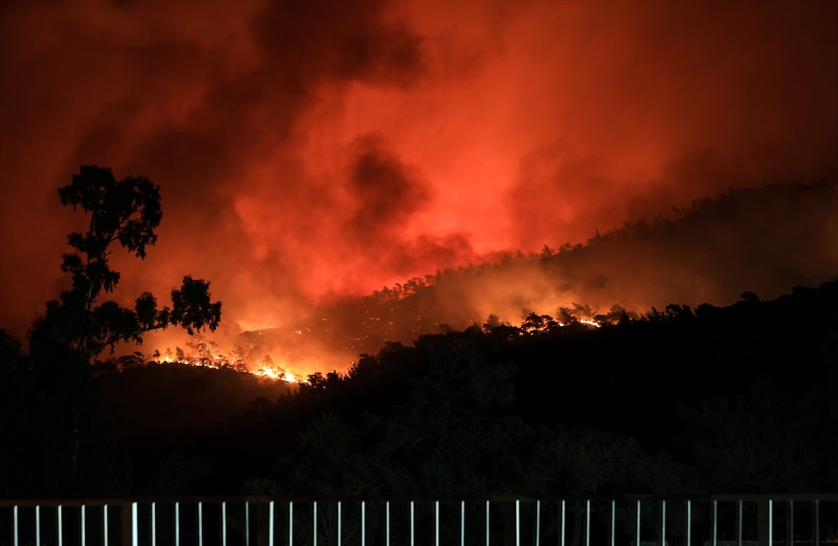 Orman yangını felaketinde son durum #1