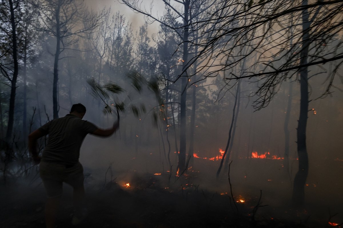 Orman yangını felaketinde son durum #4