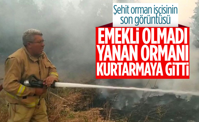 Manavgat'ta can veren orman işçisinin oğlu: Emekli olduğu halde işinden kopamadı