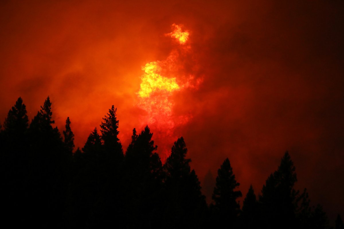 Forest fires continue in the USA #3