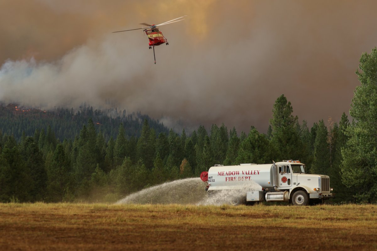 Forest fires continue in the USA #2