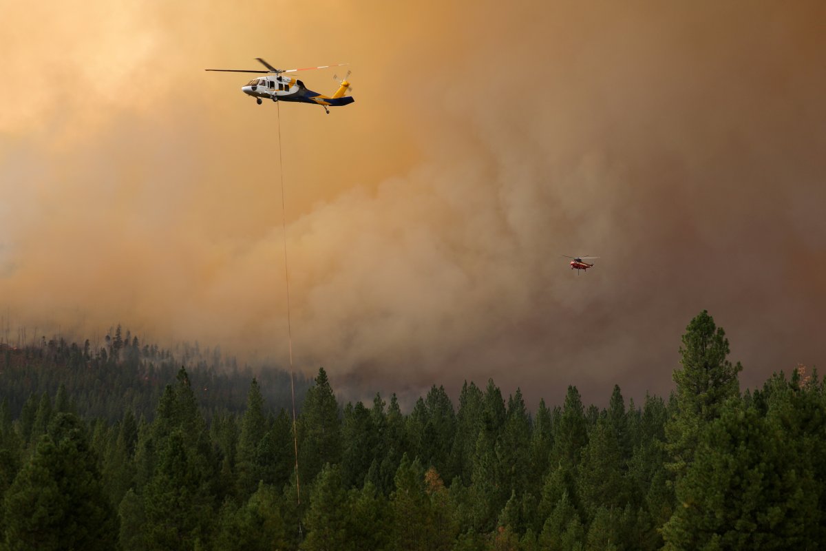 Forest fires continue in the USA #5