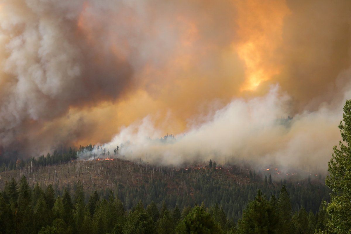 Forest fires continue in the USA #10