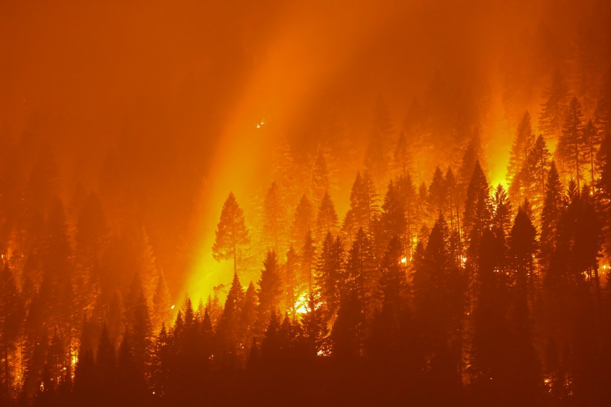 Forest fires continue in the USA #14