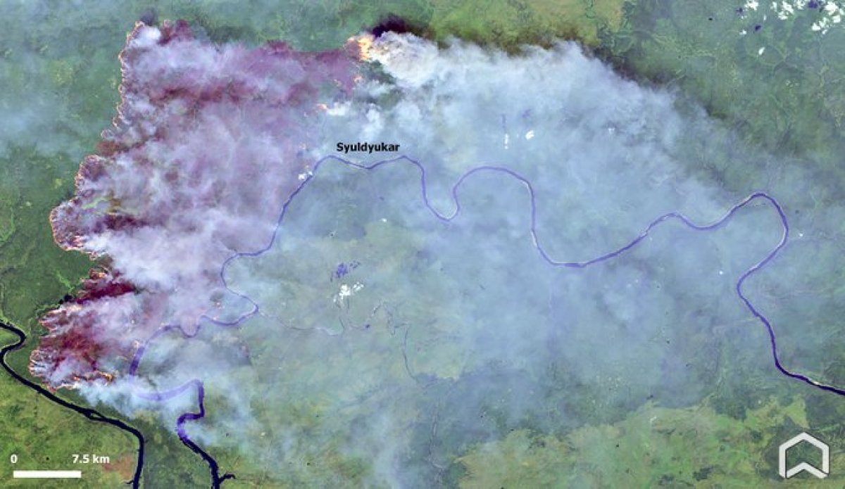 Forest fire in Russia #2