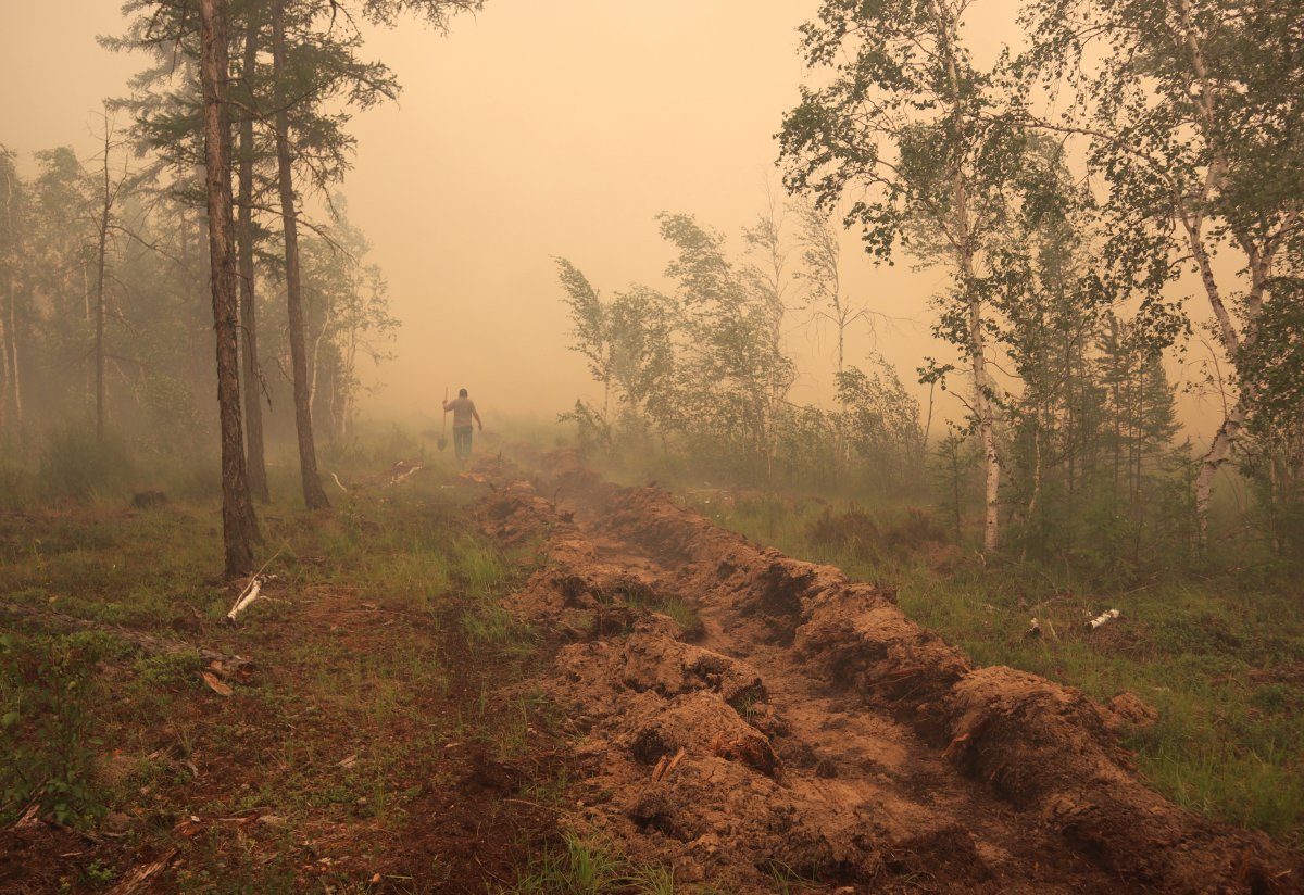 Forest fire in Russia #7