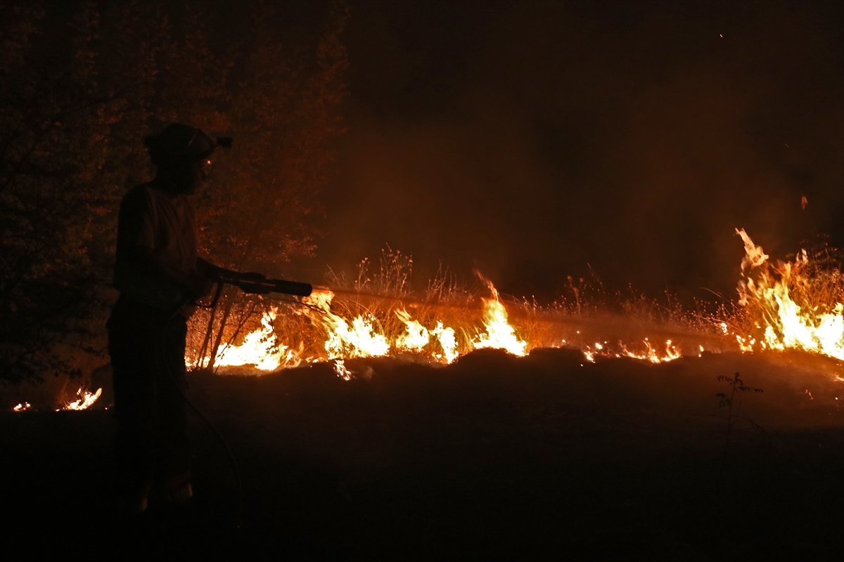 Forest fire in North Macedonia #5