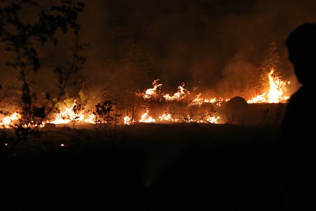 Forest fire in North Macedonia #3