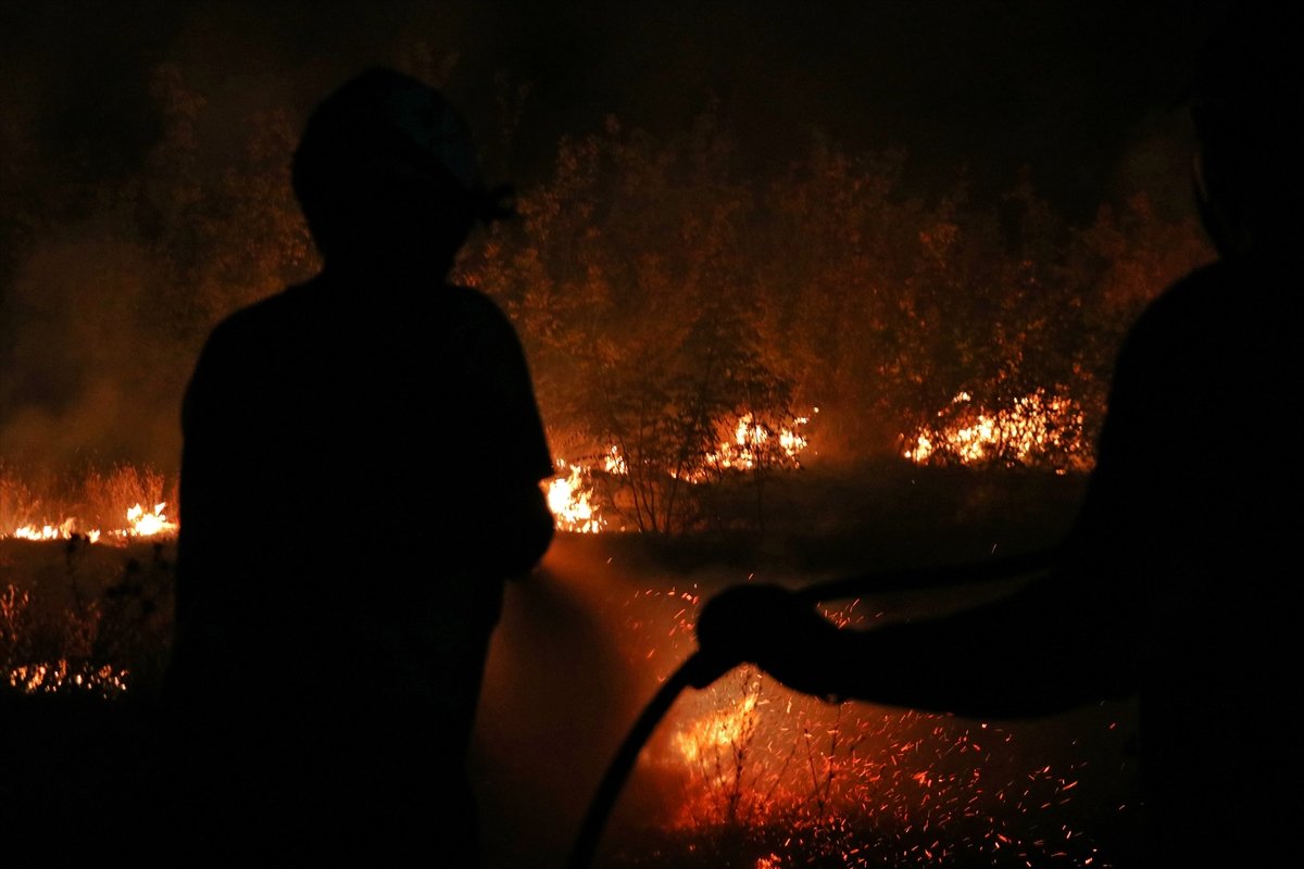 Forest fire in North Macedonia #4