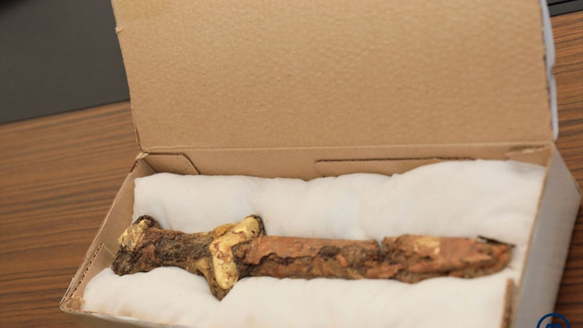 Kazakistan’da erken Demir Çağı’na ait taş sunak ve altınla kaplanmış tören kılıcı keşfedildi