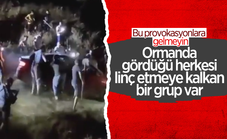 Aydın'da orman yakmak isteyen teröristler iddiası olay çıkardı