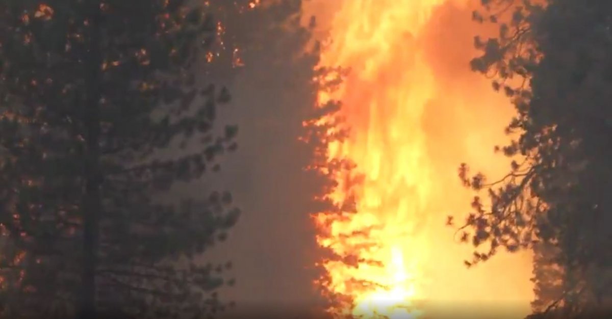 Wildfires start growing again in California #5