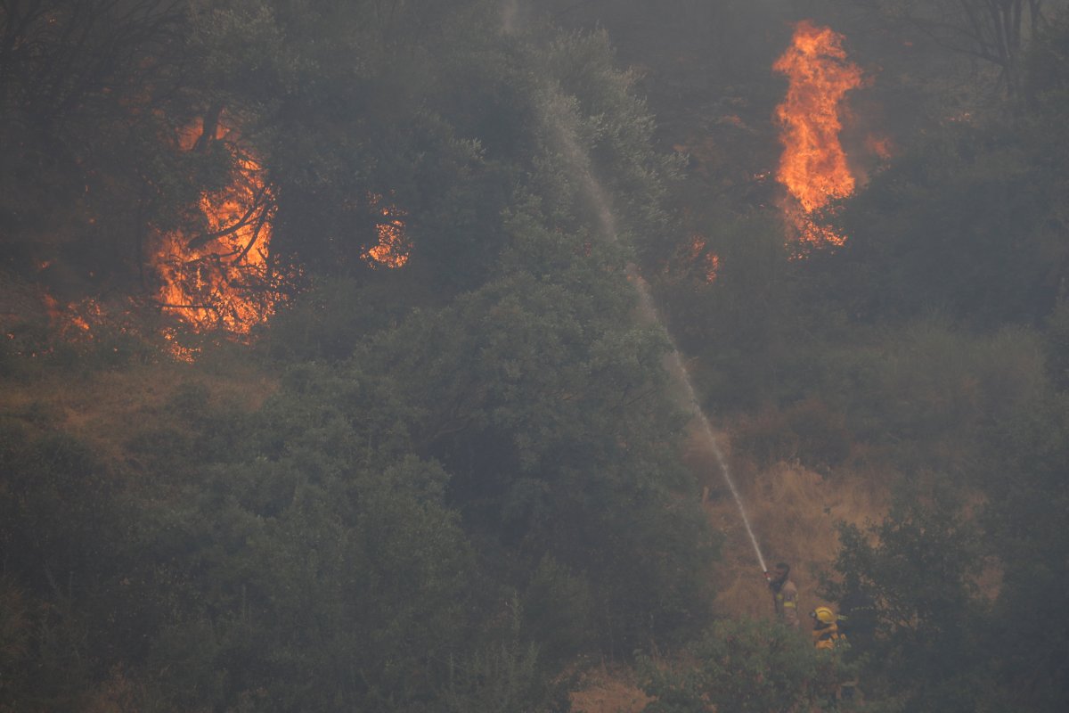 Пожары в греции сейчас. Лесной пожар в туймазинском районе. Пал травы пушкинские горы. Картинка добраться до пожара. Пожары в европе.