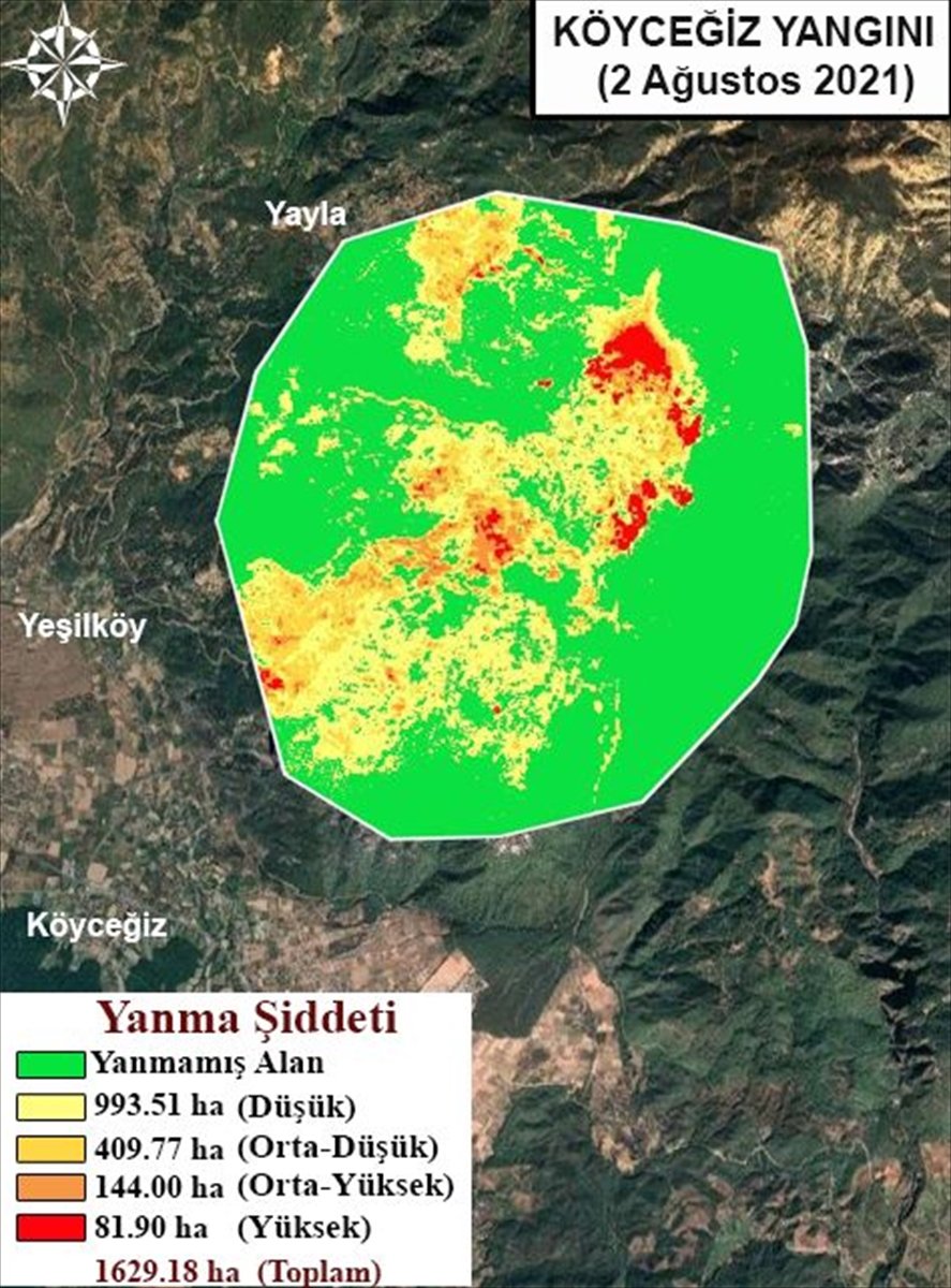 Orman yangınlarının etkili olduğu alanlar haritalandırıldı #5